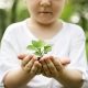 Digiteal Forest Growing tree in child's hands